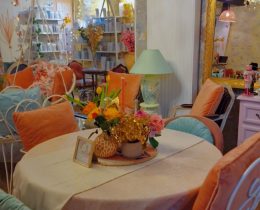 Thés Les Saveurs Nuancées