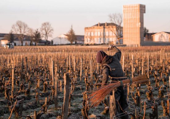 Segredos de um terroir no Château Gruaud Larose