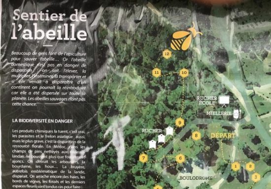 Le Sentier de l’abeille de Benon