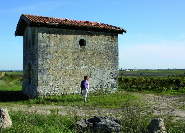 Circuito de cabañas de vid