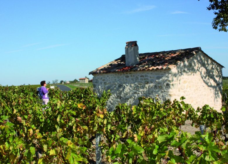 Weinhütten-Rundgang