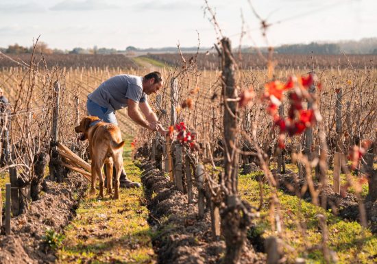 Geheimen van een terroir op Château Gruaud Larose